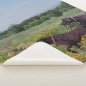 Deutsche Kurzzeiger Sherpadecke (3/4)