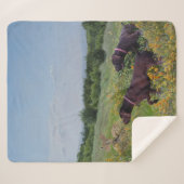 Deutsche Kurzzeiger Sherpadecke (Vorderseite (Horizontal))