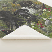 Deutsche Kurzzeiger Sherpadecke (3/4)