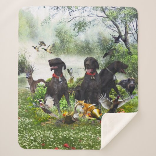 Deutsche Kurzzeiger Sherpadecke (Vorderseite)