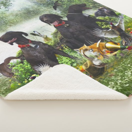 Deutsche Kurzzeiger Sherpadecke (3/4)