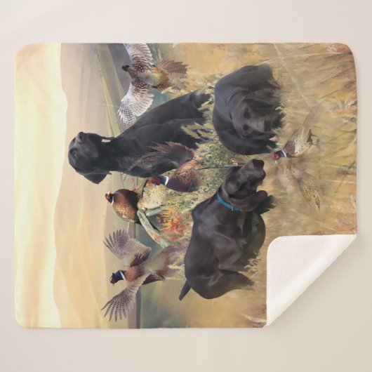 Deutsche Kurzzeiger Sherpadecke (Vorderseite (Horizontal))