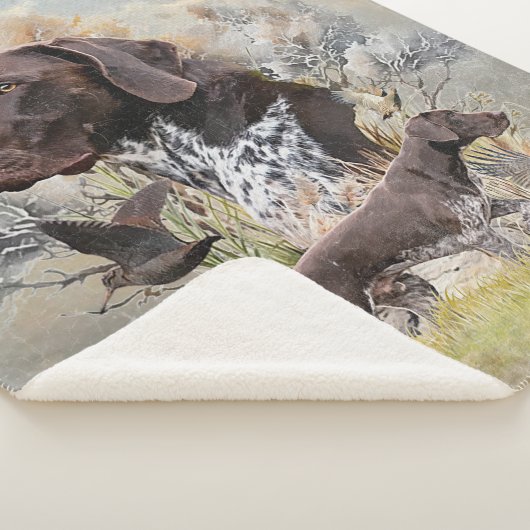 Deutsche Kurzzeiger Sherpadecke (3/4)