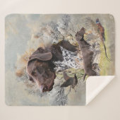 Deutsche Kurzzeiger Sherpadecke (Vorderseite (Horizontal))