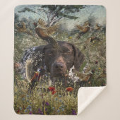 Deutsche Kurzzeiger Sherpadecke (Vorderseite)