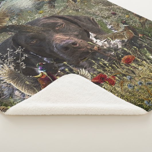 Deutsche Kurzzeiger Sherpadecke (3/4)