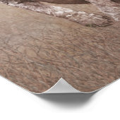 Deutsche Kurzzeigerwelpe Poster (Ecke)