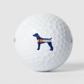 Deutsche Kurzzeiterkennung Pointer Colorado Golfball (Vorderseite)