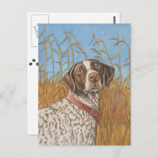 Deutsche Kurzzeitpointer Dog Postkarte (Vorne/Hinten)