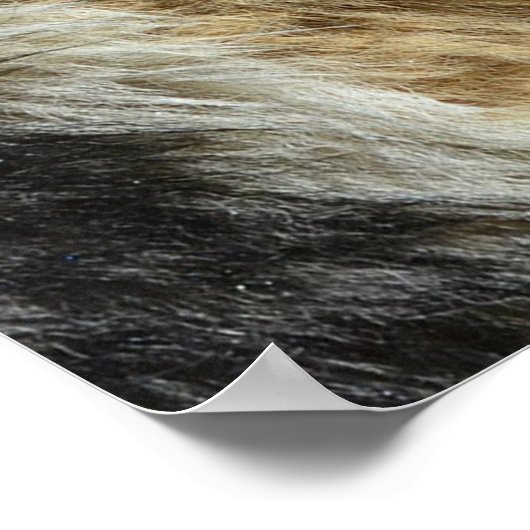 Deutsche Schafe am Meer Poster (Ecke)