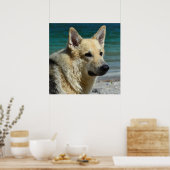 Deutsche Schafe am Meer Poster (Küche)