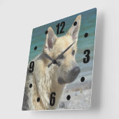 Deutsche Schafe am Meer Quadratische Wanduhr (Winkel)