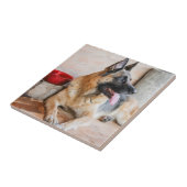 Deutsche Schafe im Wasserbecken Fliese (Seite)