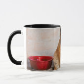 Deutsche Schafe im Wasserbecken Tasse (Links)