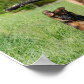 Deutsche Schäferhirte Mama und Pup Running Poster (Ecke)