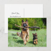 Deutsche Schäferhund Danke Postkarte (Vorne/Hinten)