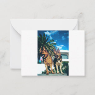 Deutsche Schäferhund-Gruppe Mitteilungskarte