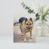 Deutsche Schäferhund Postkarte (Stehend Vorderseite)