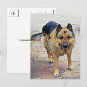 Deutsche Schäferhund Postkarte (Vorne/Hinten)