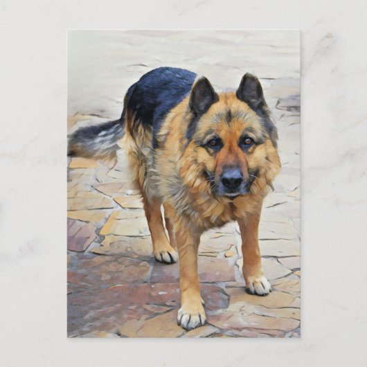 Deutsche Schäferhund Postkarte (Vorderseite)