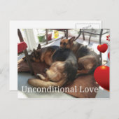 Deutsche Schäferhund Postkarte (Vorne/Hinten)