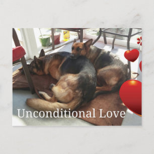 Deutsche Schäferhund Postkarte