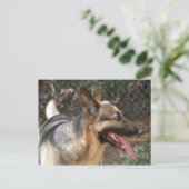 Deutsche Schäferhund Postkarte (Stehend Vorderseite)