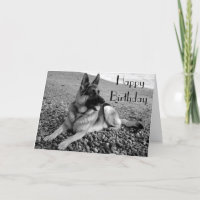 Deutsche Schäferhund Welpenhund Happy Birthday Car