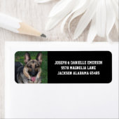 Deutsche Schäferhunde-Adressenmarken (Insitu)