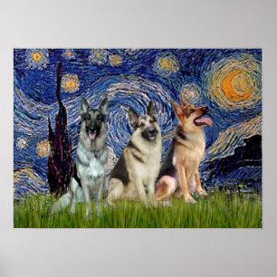 Deutsche Schäferhunde Drei - Sternennacht Poster
