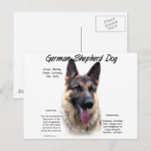 Deutsche Schäferhunde-Geschichtsdesign Postkarte (Vorne/Hinten)