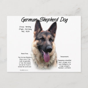 Deutsche Schäferhunde-Geschichtsdesign Postkarte