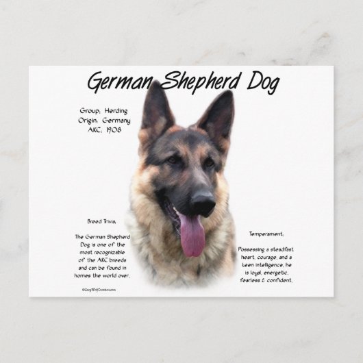 Deutsche Schäferhunde-Geschichtsdesign Postkarte (Vorderseite)