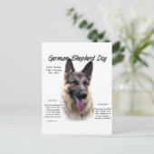 Deutsche Schäferhunde-Geschichtsdesign Postkarte (Stehend Vorderseite)