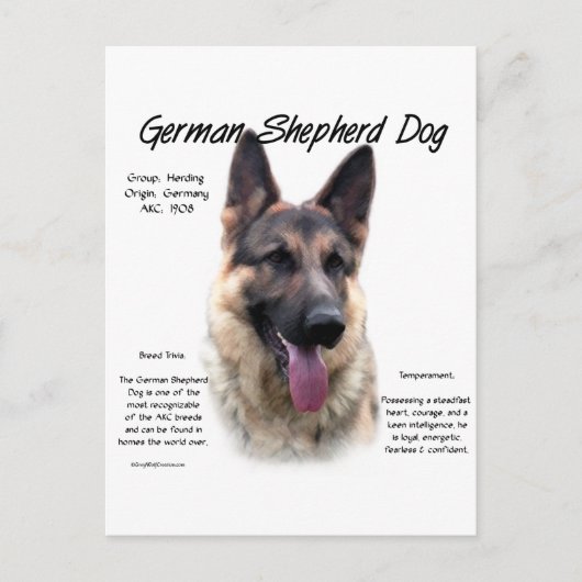 Deutsche Schäferhunde-Geschichtsdesign Postkarte (Vorderseite)