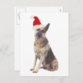 Deutsche Schäferhunde-Weihnachtsmannmütze Feiertagspostkarte (Vorne/Hinten)
