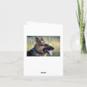 Deutsche Schäferhunde Welpenhund - Blankokarte Karte (Rückseite)