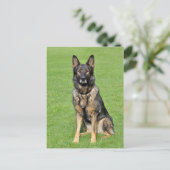 Deutsche Schäferhunde Welpenhund-leere Postkarte (Stehend Vorderseite)