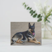 Deutsche Schäferhunde Welpenhund-leere Postkarte (Stehend Vorderseite)