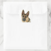 Deutsche Schäferhunde Welpenhundekleber / Labels Quadratischer Aufkleber (Tasche)