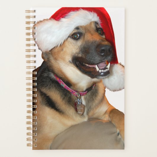 Deutsche Schäferin mit einem Weihnachtsmann-Hut Planer (Vorderseite)