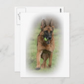 Deutsche Schäferin "Vita" Postkarte (Vorne/Hinten)