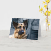 Deutsche Schäferkarte Karte (Gelbe Blume)