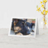 Deutsche Schäferkarte Karte (Gelbe Blume)