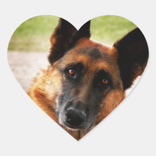 Deutsche Schäferkleber Herz-Aufkleber (Vorderseite)
