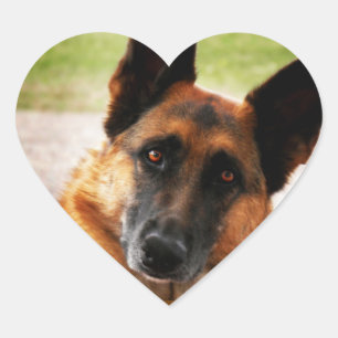 Deutsche Schäferkleber Herz-Aufkleber