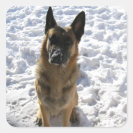 Deutsche Schäferkleber Quadratischer Aufkleber