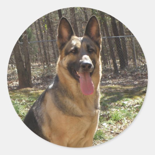 Deutsche Schäferkleber Runder Aufkleber (Vorderseite)