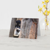 Deutsche Schäfernase durch Zaun pinkeln Karte (Gelbe Blume)