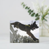 Deutsche Schäferpolizei Postkarte (Stehend Vorderseite)